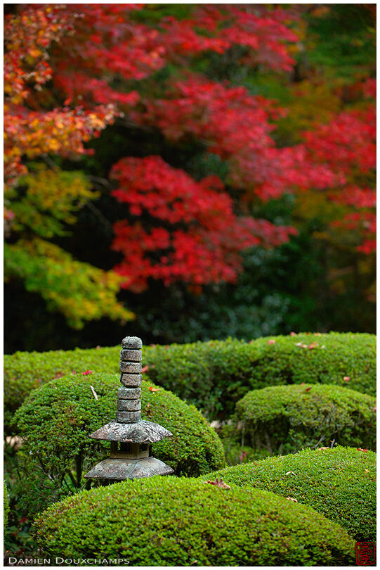 Miniature pagoda and autumn colors, vertical frame