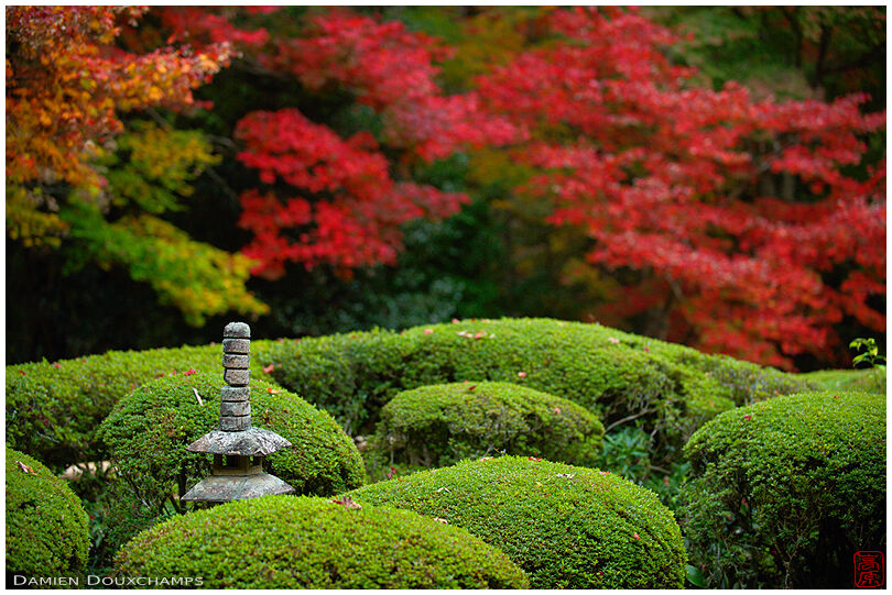 Miniature pagoda and autumn colors, horizontal frame