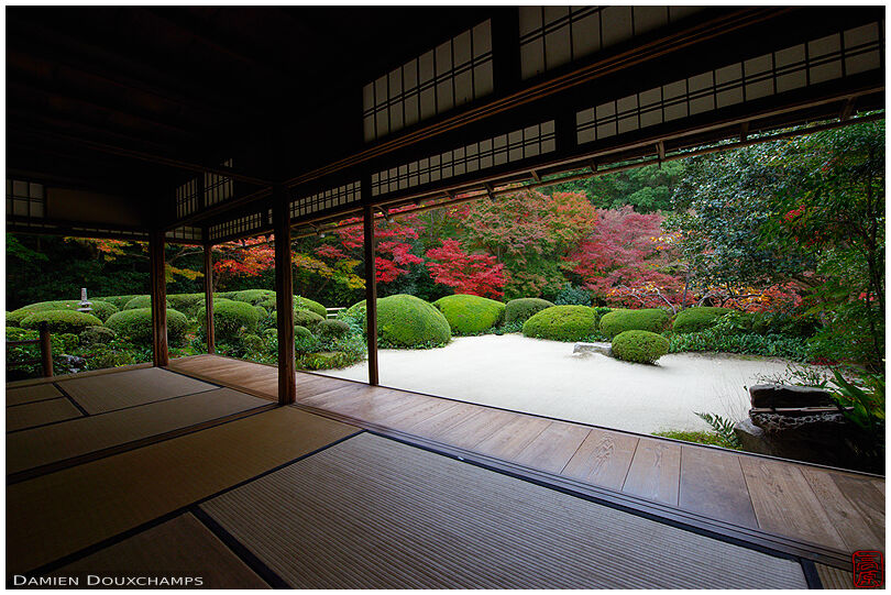 Zen garden and autumn colors from the main hall