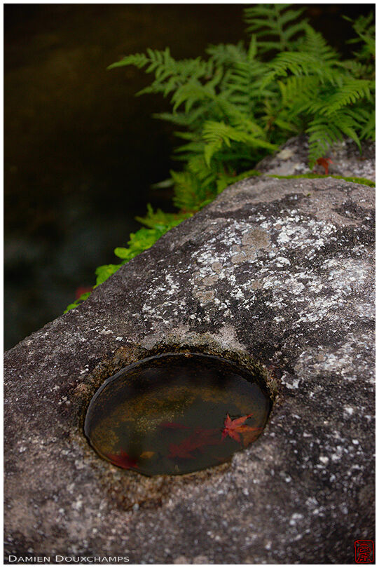 Small stone wash basin (Shisen-do 詩仙堂)
