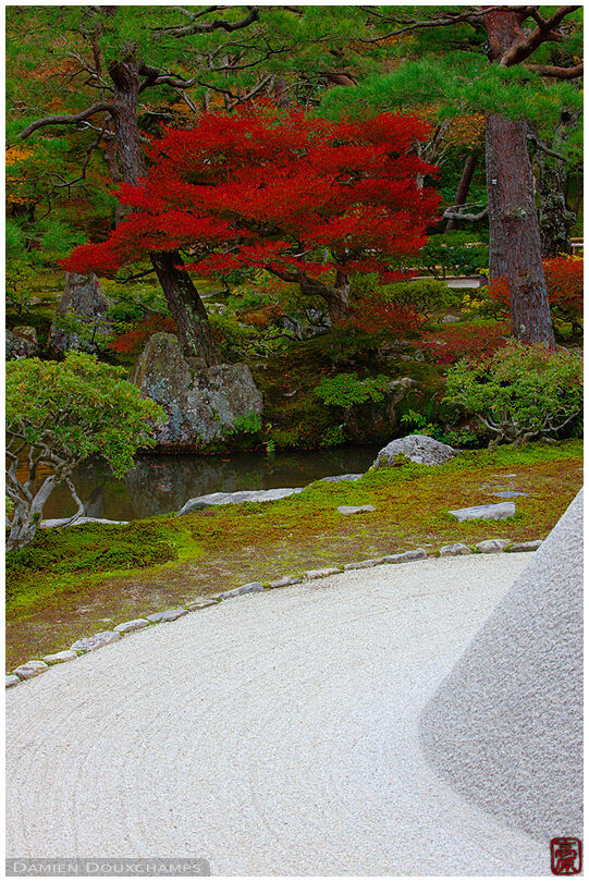 Zen garden and autumn colors