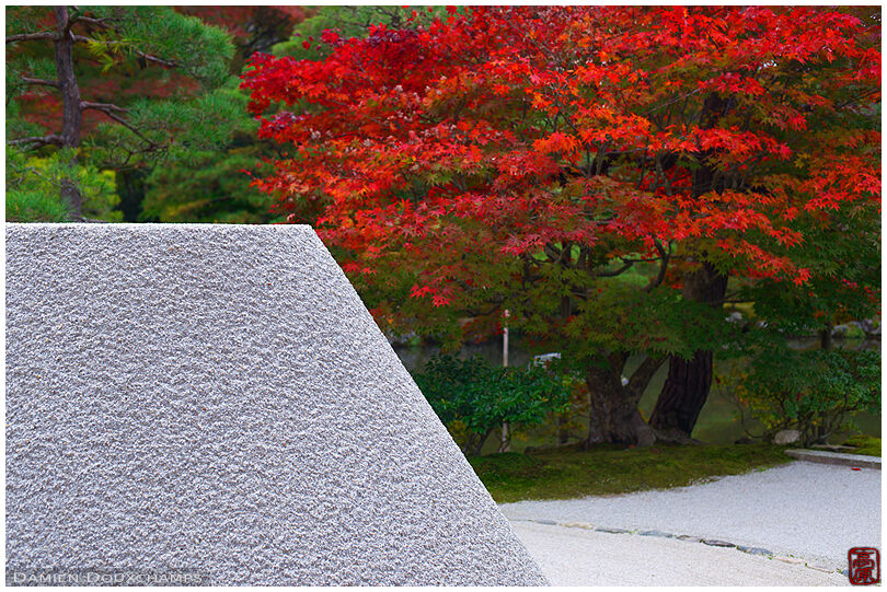 The Kogetsudai sand hill and red maple tree