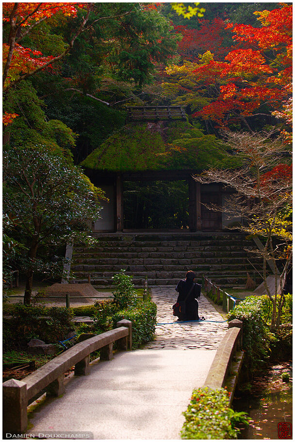 Photographing Honen-in's gate