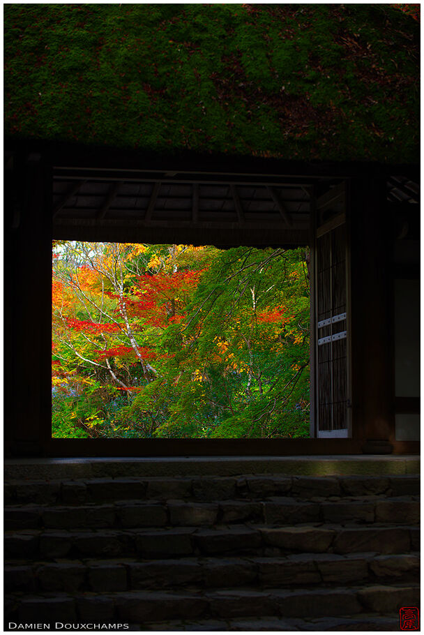 A view on autumn colors