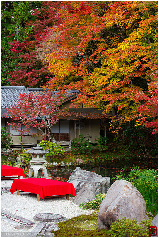 Tea house and autumn colors