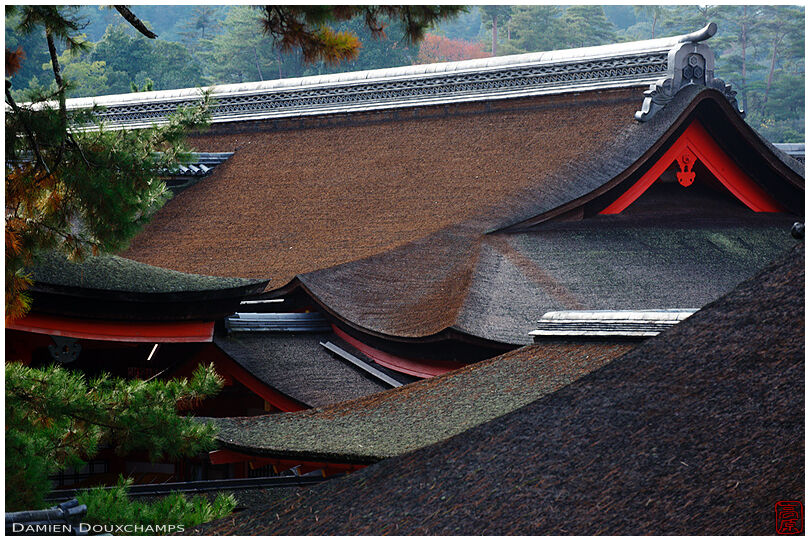 Roof lines