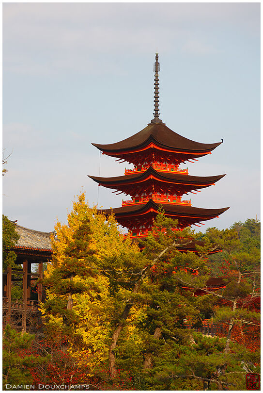 5-storey pagoda in autumn