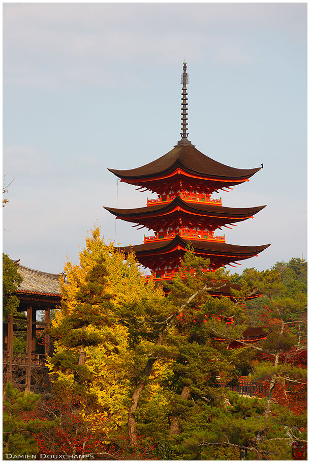 5-storey pagoda in autumn