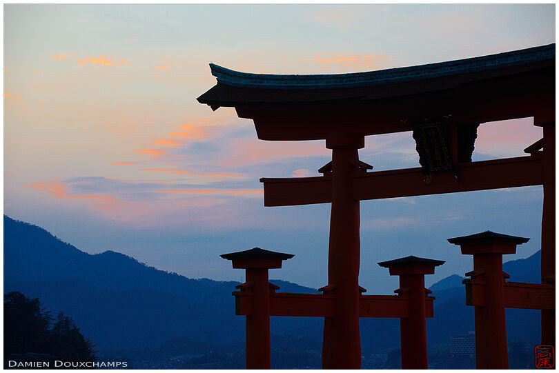 The torii at dawn
