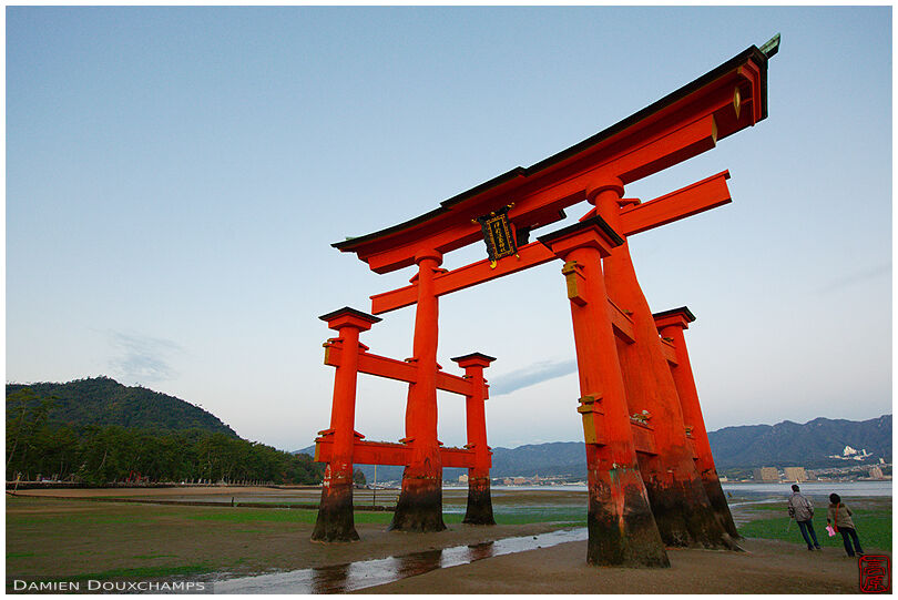 The torii at low tide