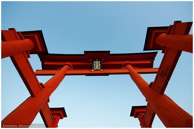 Extreme perspective on the torii