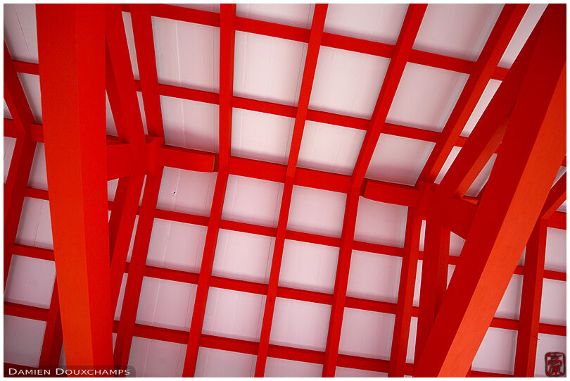 Red on white: detail of the structure of the roofs of the covered alleys