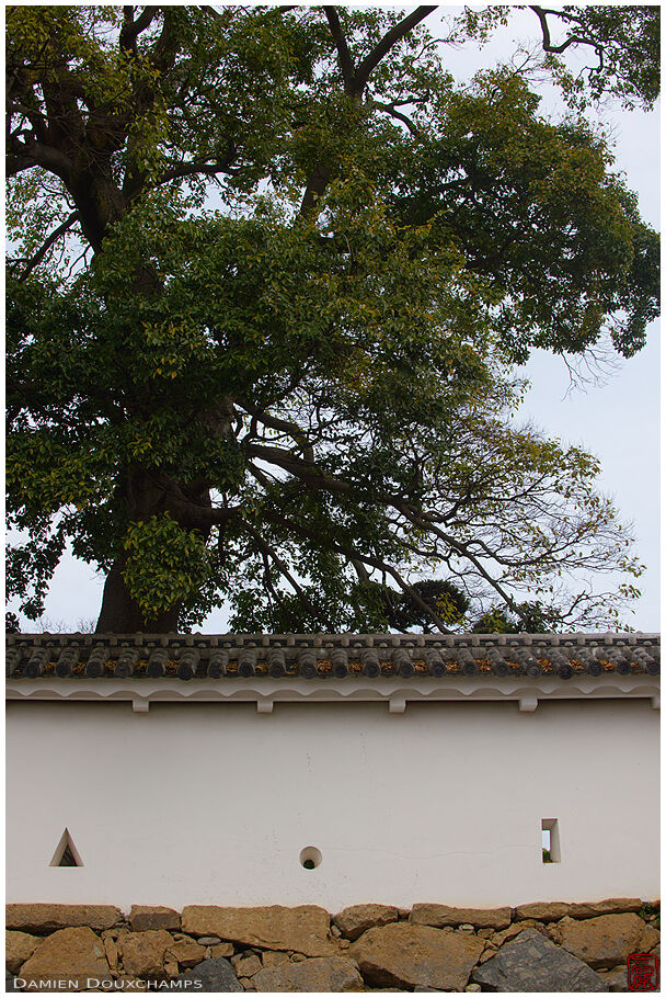 Fortified wall with circular, triangular and square arrowslits