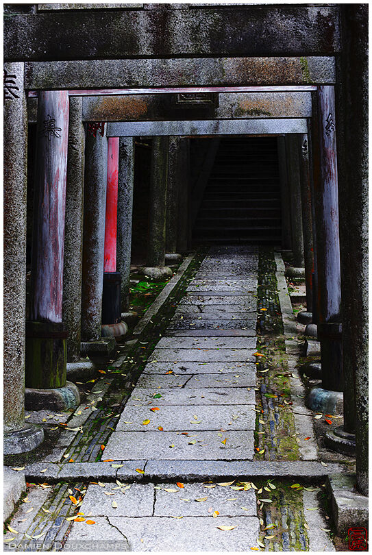 Dark alley covered by old torii (Tofuku-ji 東福寺)