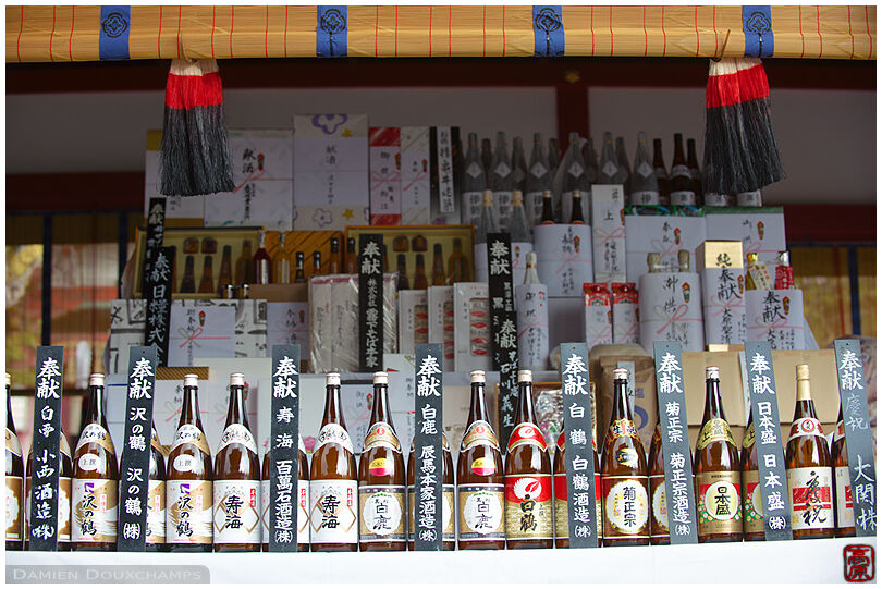 Sake bottles as offerings to Fushimi Inari shrine (伏見稲荷大社)