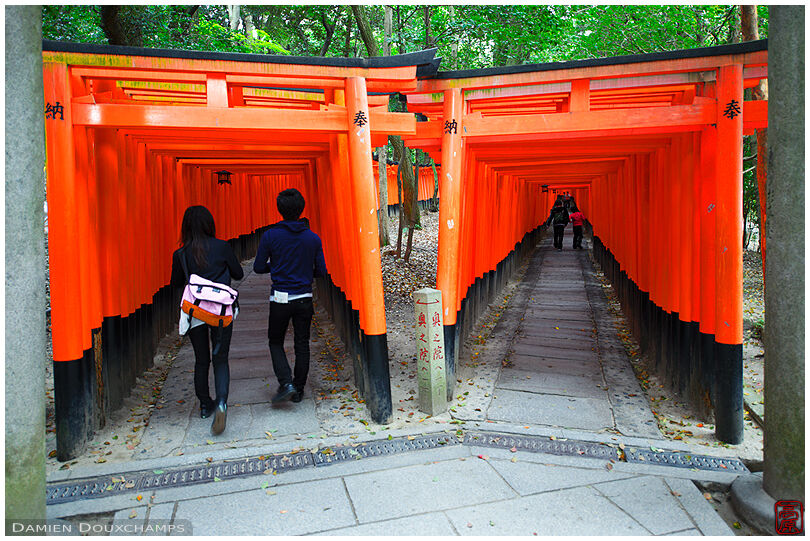 Twin paths under torii (Fushimi Inari shrine 伏見稲荷大社)