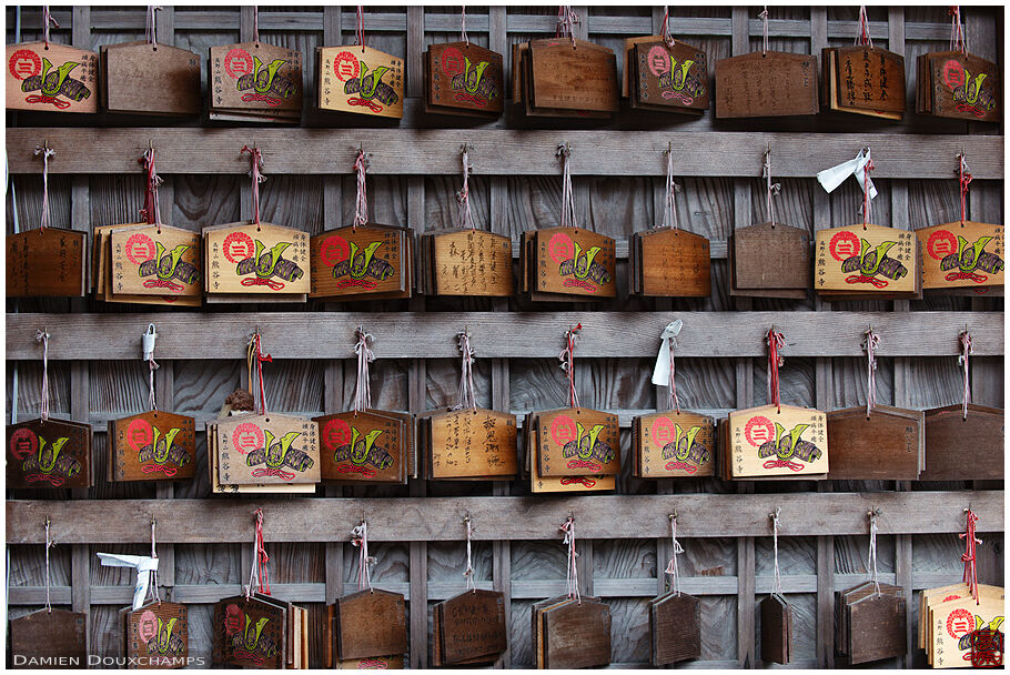 Ema tablets and tied umikuji (Koyasan 高野山)