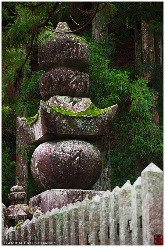 Old tombstone covered with moss in the forest cemetery of Okunoin, Koyasan, Japan