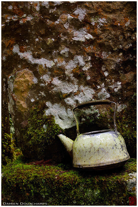 Old kettle on mossy grave stone, Okunoin cemetery, Koya-san, Japan