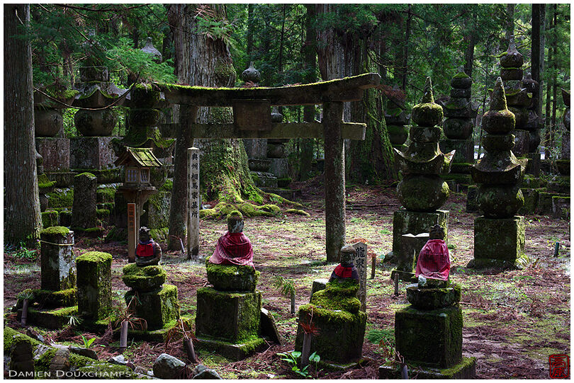 Tombstones and torii in clearing, Okuno-in