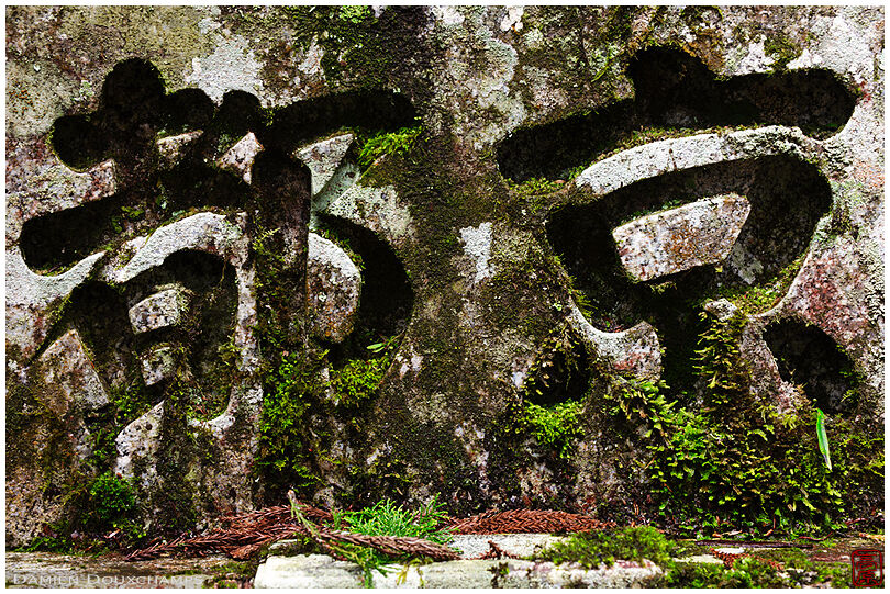 Mossy writing for Kyoto on a grave in the Okunoin cemetery, Koyasan, Japan