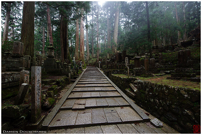 Alley in the forest of Okuno-in cemetery