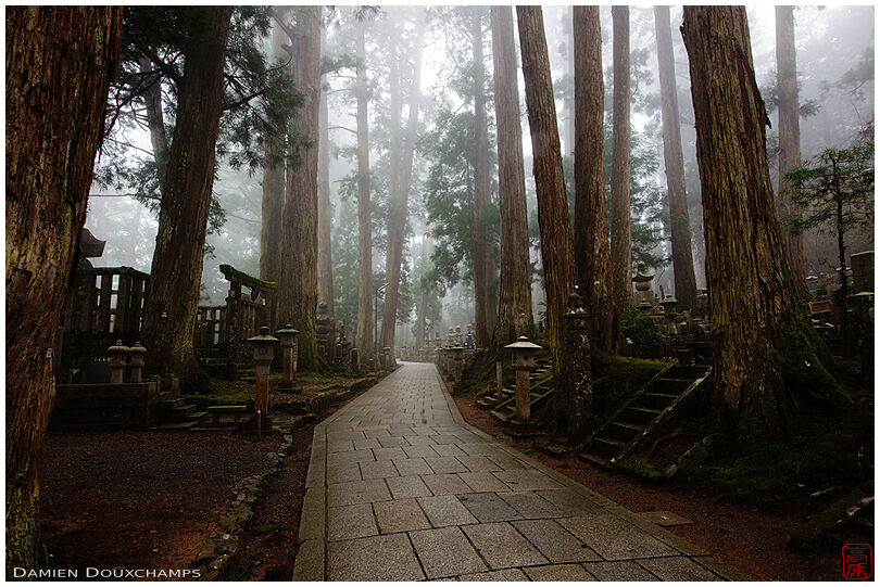 Foggy alley in the forest of Okuno-in cemetery