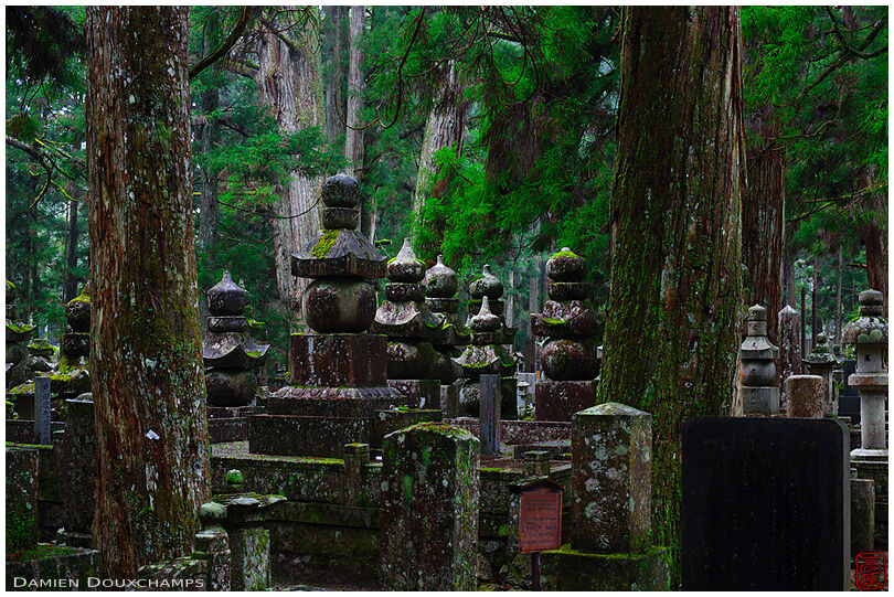 Old tombstones in Okuno-in cemetery