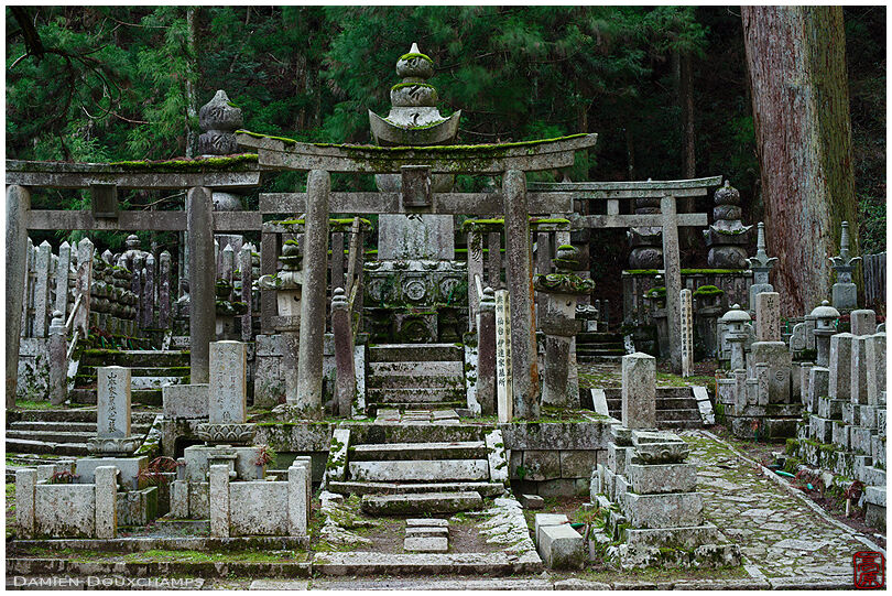 Torii gates, stone lanterns and grave stones in the dark cemetery forest of Okunoin, Wakayama, Japan