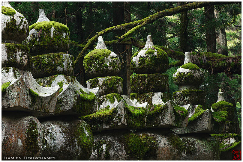 Row of moss-covered graves in the Okuno-in forest cemetery, Koya-san, Japan