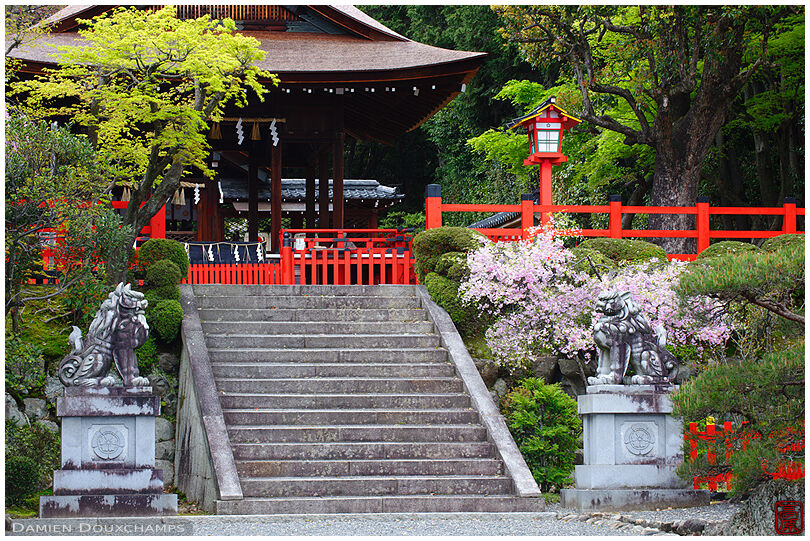 Guarded staircase on shrine grounds (Takeisao-jinja 建勲神社)