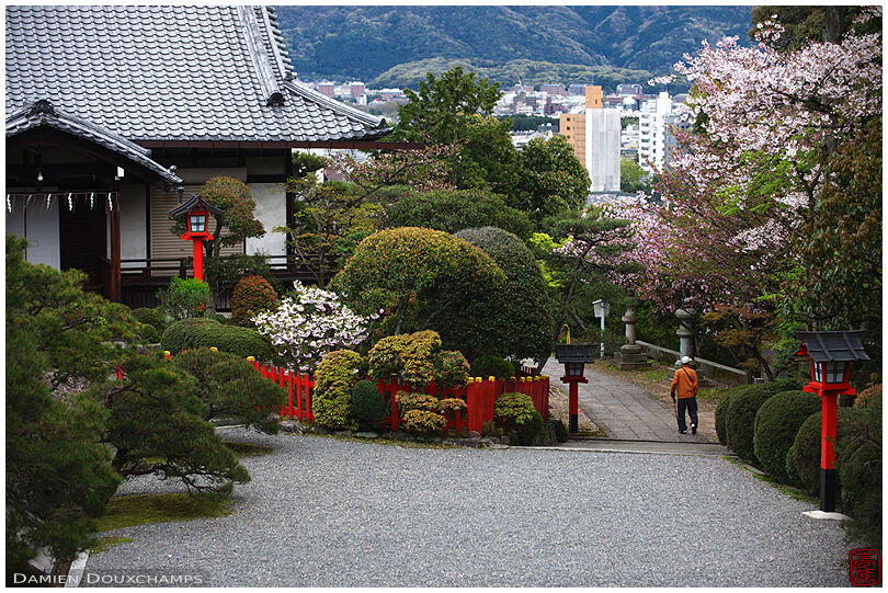 Cherry blossom season in Takeisao-jinja shrine on a hill of Kyoto, Japan