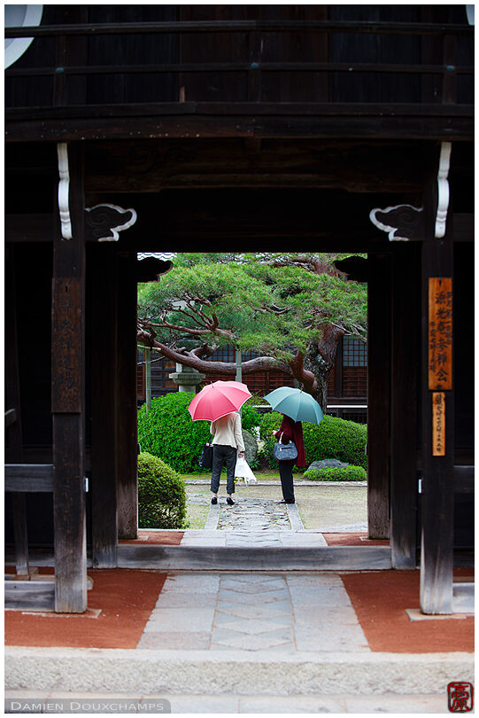 Ladies with umbrellas in Genko-an temple(源光庵)