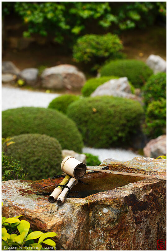 Water basin with bamboo ladle in zen garden (Taizo-in 退蔵院)