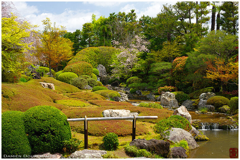 Garden in spring (Taizo-in 退蔵院)