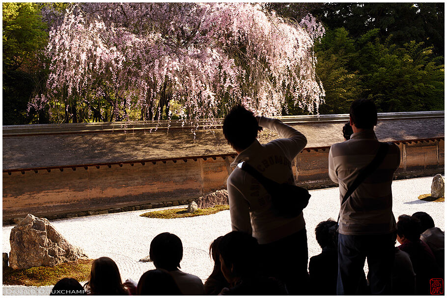 Crowded terrace on rock garden (Ryoanji 竜安寺)