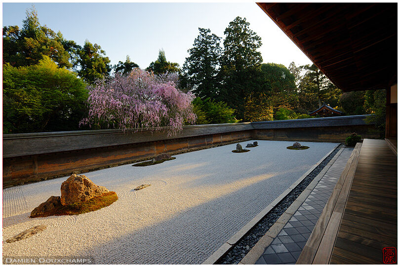Evening light on rock garden (Ryoanji 竜安寺)