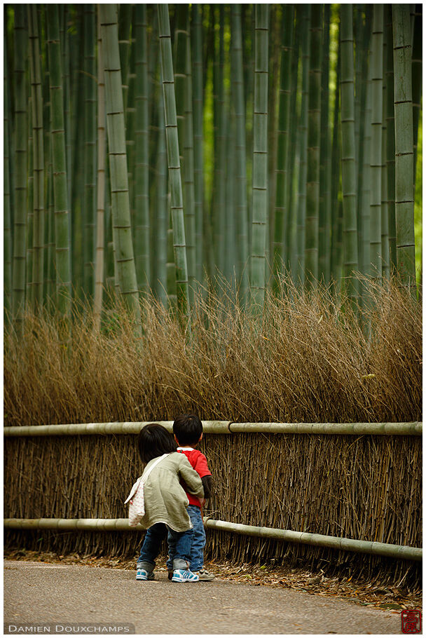 Bamboo Alley 嵯峨竹林