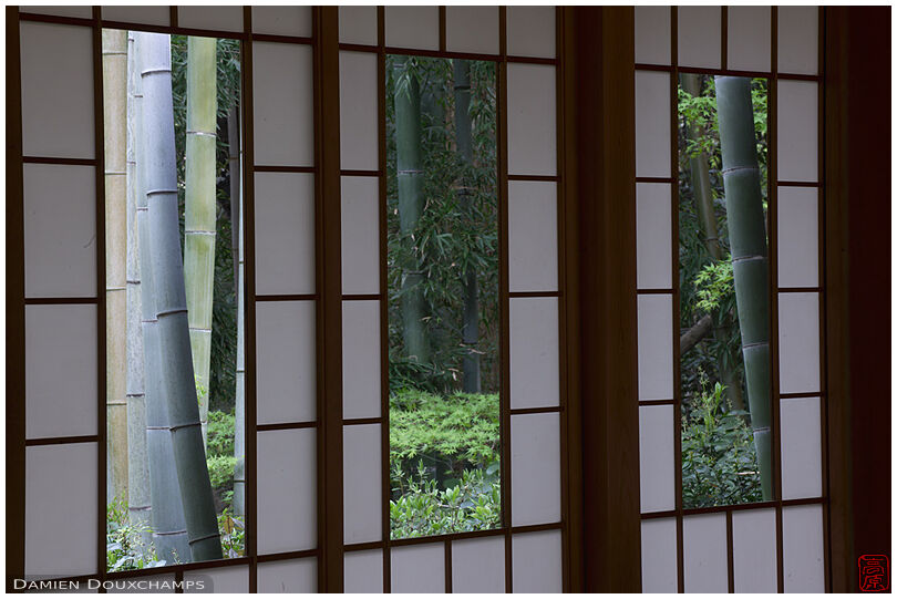 Window to bamboo forest (Okochi Sanso villa 大河内山荘)