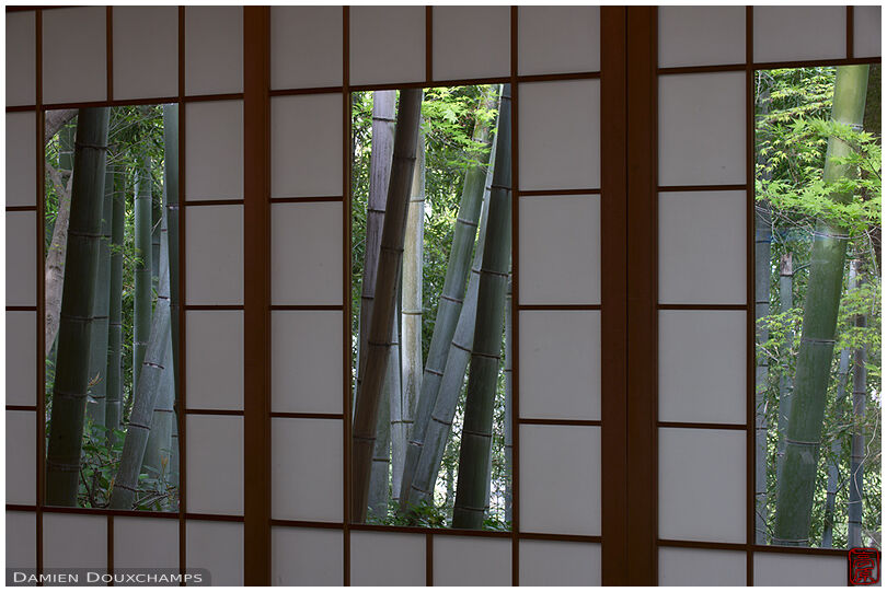 Window on bamboo forest (Okochi Sanso villa 大河内山荘)
