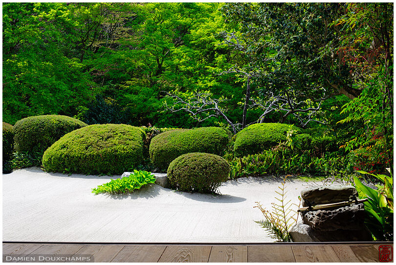 Garden with water basin in spring (Shisendo 詩仙堂)