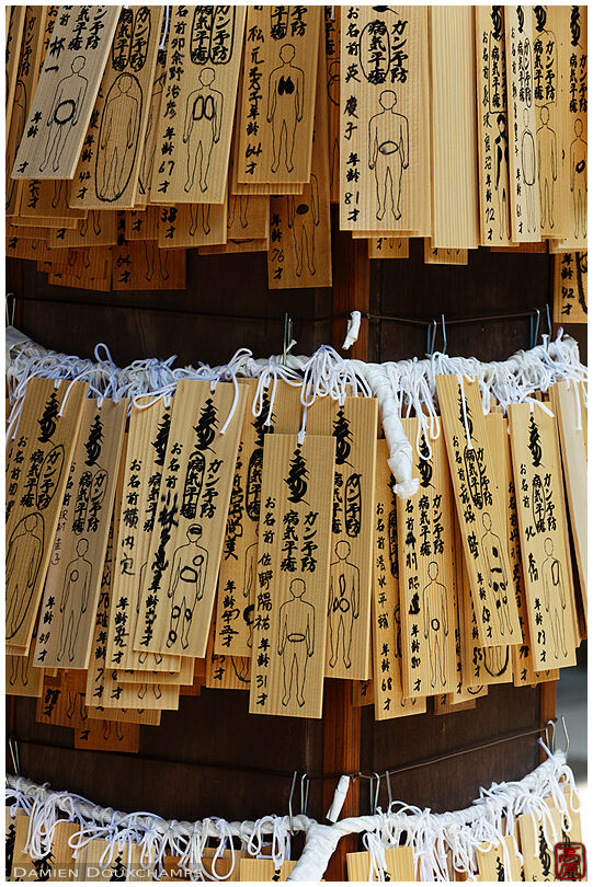 Body parts highlighted on wishes tablets (Tanukidanisan-fudoin 狸谷山不動院‎)