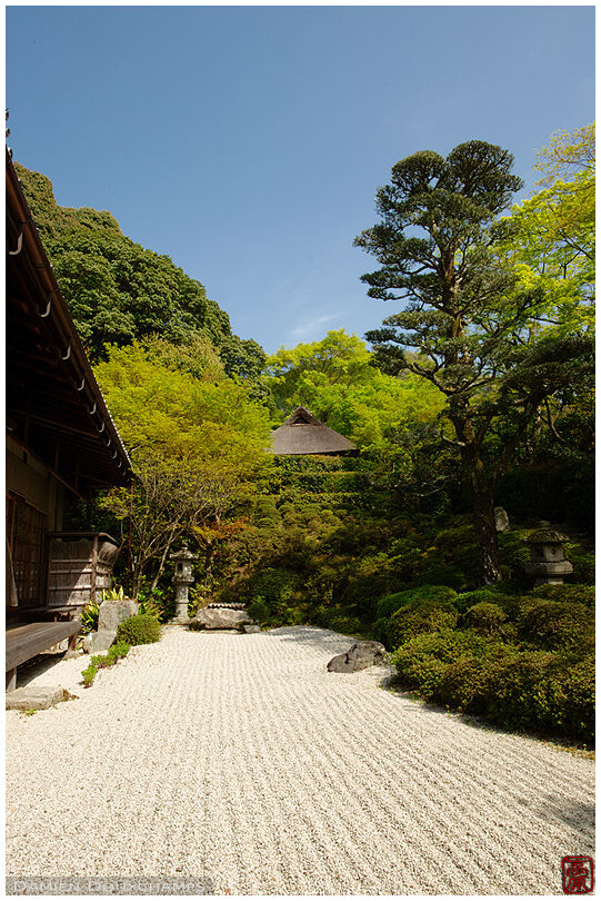 Raked stone garden (Konpuku-ji 金福寺)
