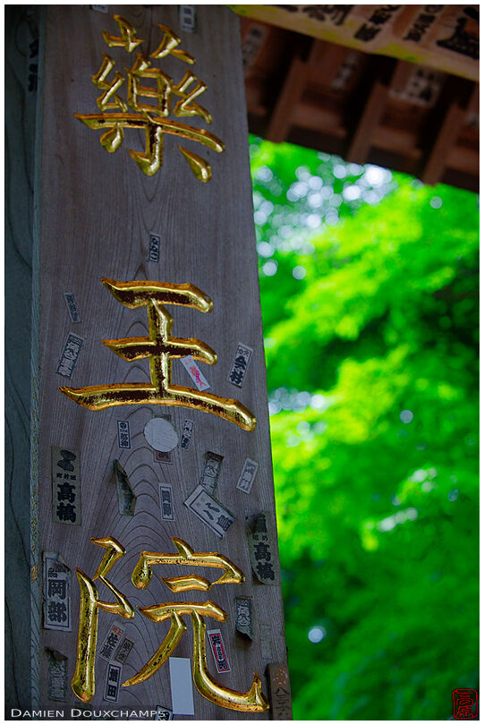 Temple name written in gold on its gate (Yakuo-in 薬王院)