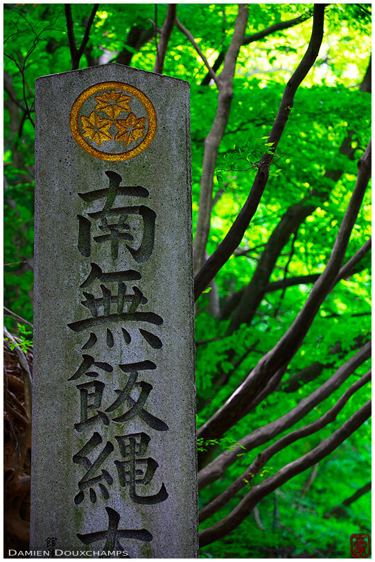 Stone marker in forest (
