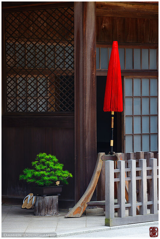 Traditional umbrella and bonzai (Yakuo-in 薬王院)