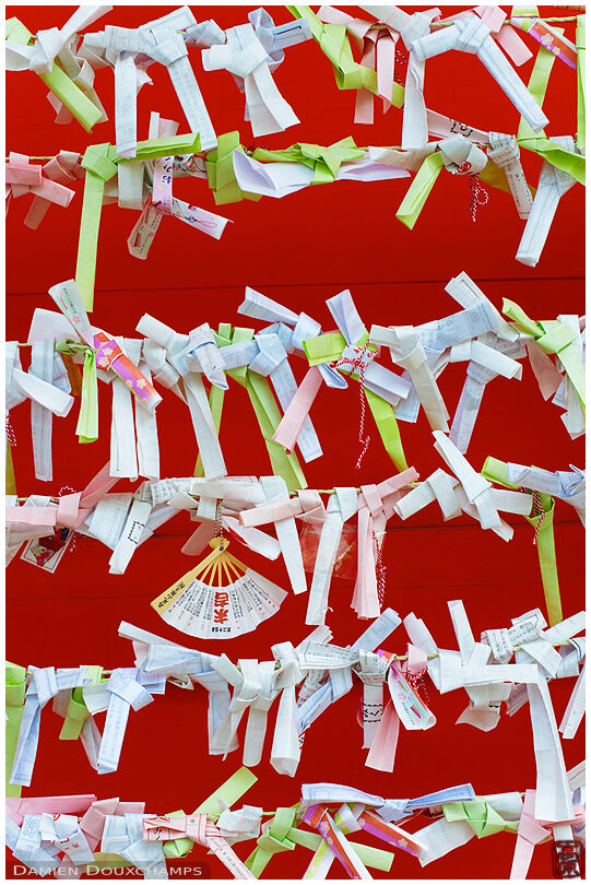 Tied umikuji fortunes (Yakuo-in 薬王院)