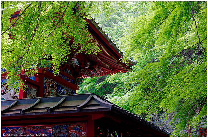 Elaborately decorated red pagoda among lush green maple foliage in Yakuo-in temple in the Takao mountains, Tokyo, Japan