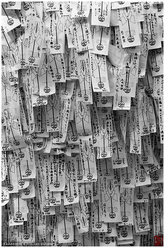 Wishes on paper strips in Yasui Kompiragu (安井金比羅宮)