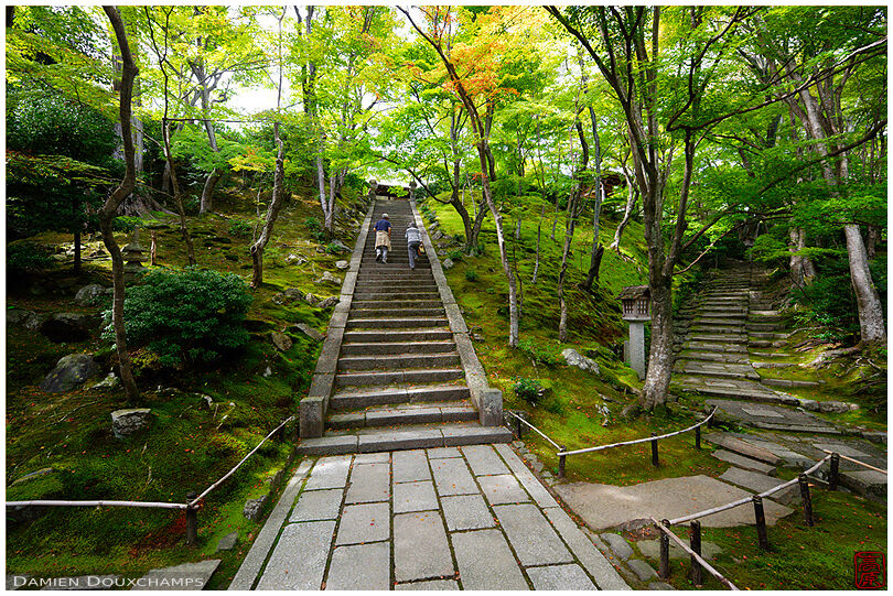 Stairway in zen garden, Jojakko-ji (常寂光寺)